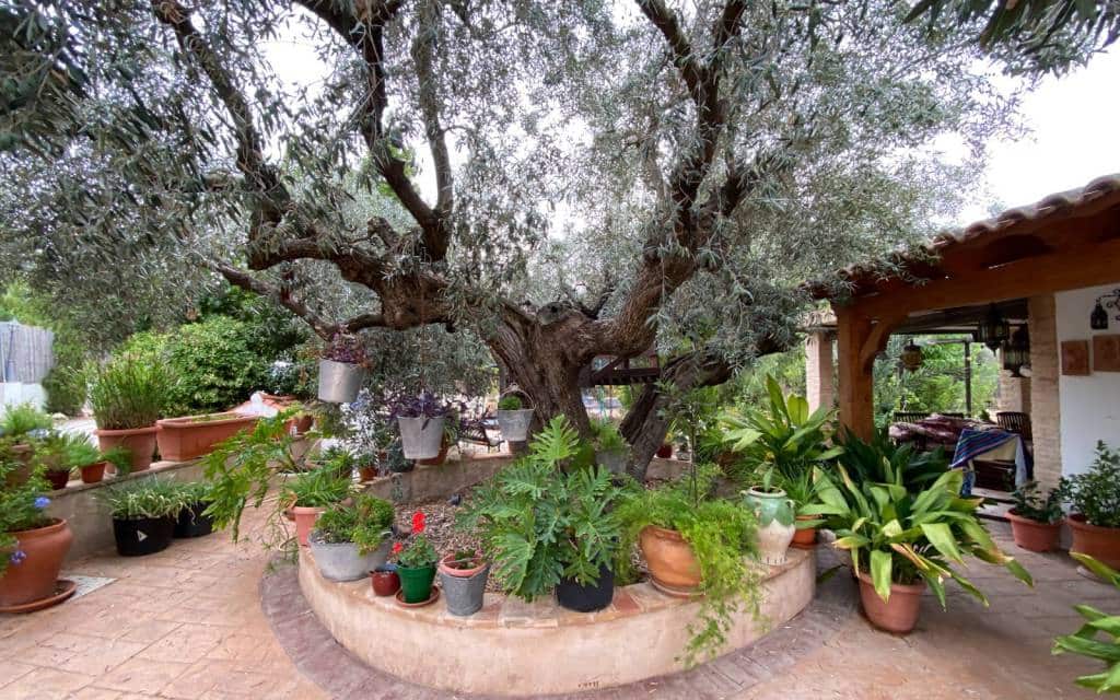 8 bedroom Villa for sale in Sax with pool garage - € 499,995 (Ref: 9231286)