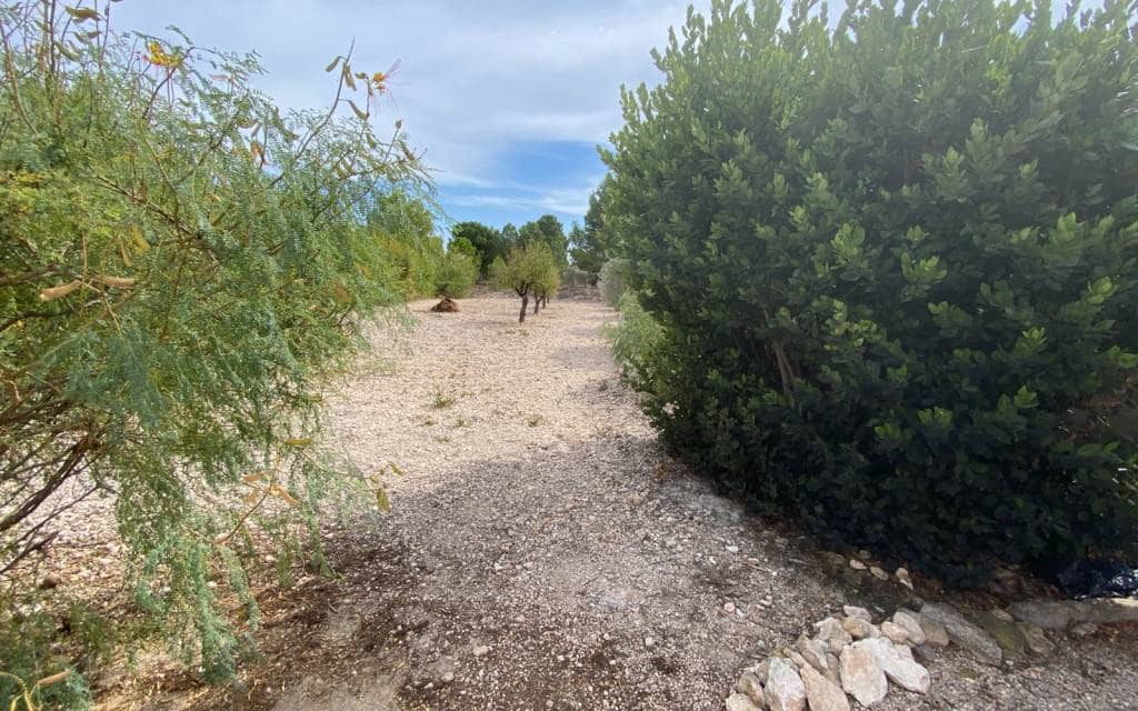 5 soverom Villa til salgs i Sax med svømmebasseng - € 375 000 (Ref: 9309025)