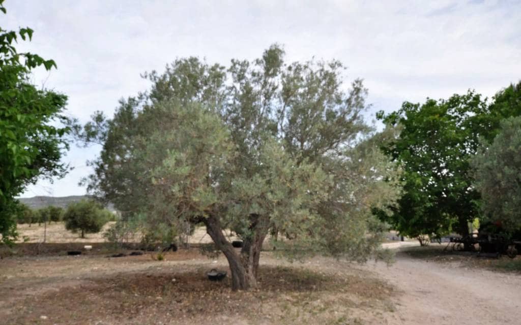 3 slaapkamer Villa te koop in Salinas met garage - € 220.000 (Ref: 9357860)