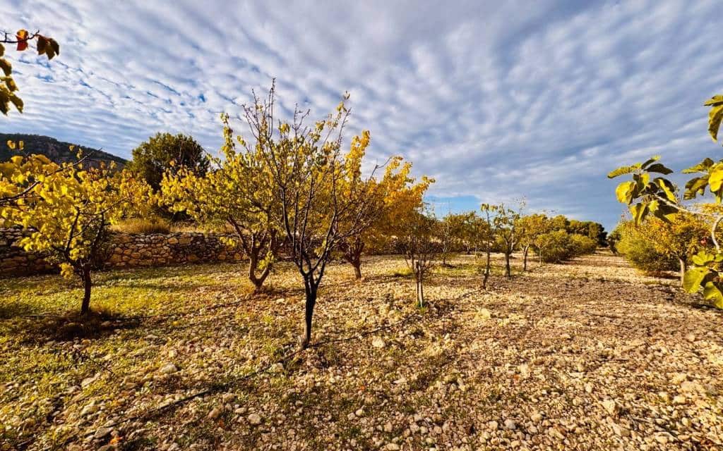 3 camera da letto Villa in vendita in Monovar / Monover con piscina garage - 185.000 € (Rif: 9383543)