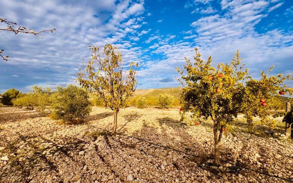 3 camera da letto Villa in vendita in Monovar / Monover con piscina garage - 185.000 € (Rif: 9383543)