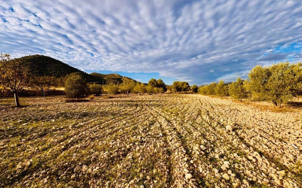 3 camera da letto Villa in vendita in Monovar / Monover con piscina garage - 185.000 € (Rif: 9383543)