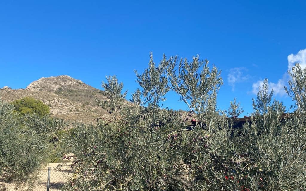 3 soverom Villa til salgs i Sax med svømmebasseng garasje - € 399 995 (Ref: 9402559)