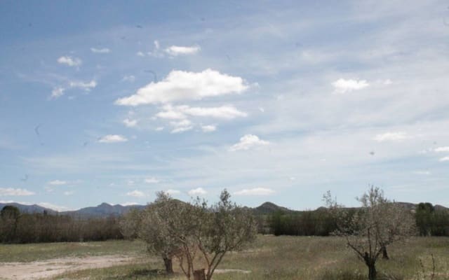 3 bedroom Villa for sale in Villena - € 269,000 (Ref: 9434587)