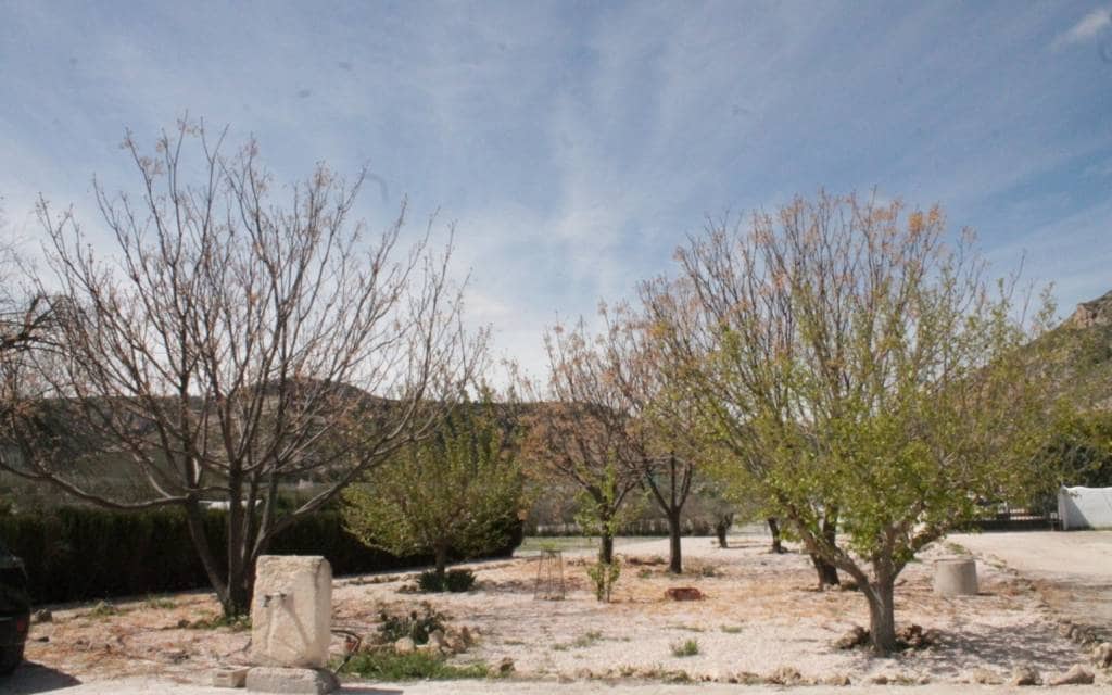 3 bedroom Villa for sale in Villena - € 269,000 (Ref: 9434587)