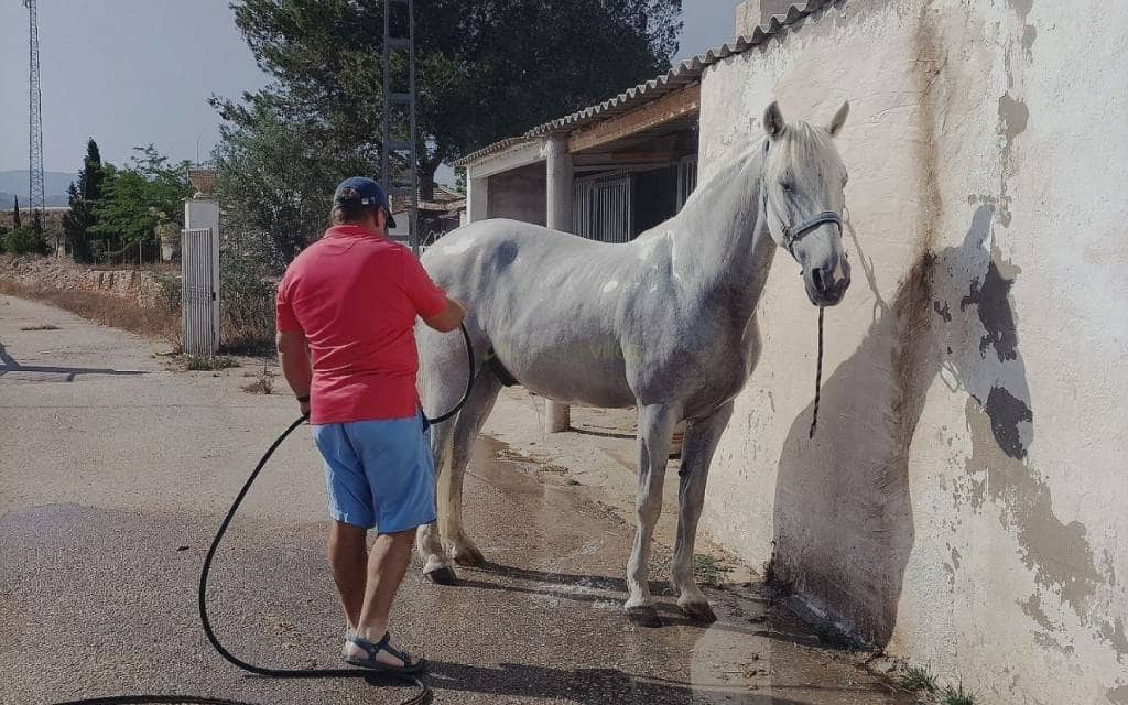 2 soverom Finca/Herregård til salgs i Monovar / Monover med svømmebasseng garasje - € 199 999 (Ref: 9466178)