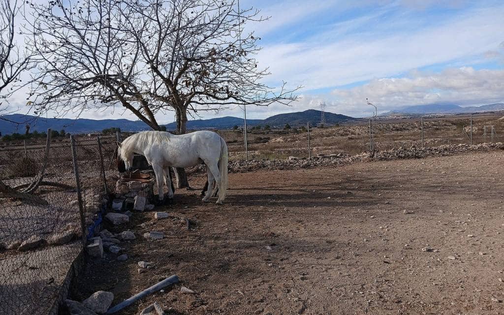 2 soverom Finca/Herregård til salgs i Monovar / Monover med svømmebasseng garasje - € 199 999 (Ref: 9466178)