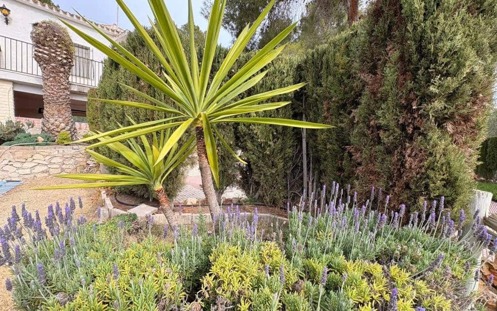 4 bedroom Villa for sale in Sax with pool - € 315,000 (Ref: 9605398)