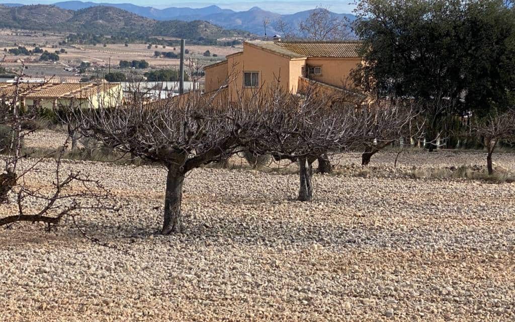 4 chambre Finca/Maison de Campagne à vendre à Salinas avec piscine - 470 000 € (Ref: 9614060)