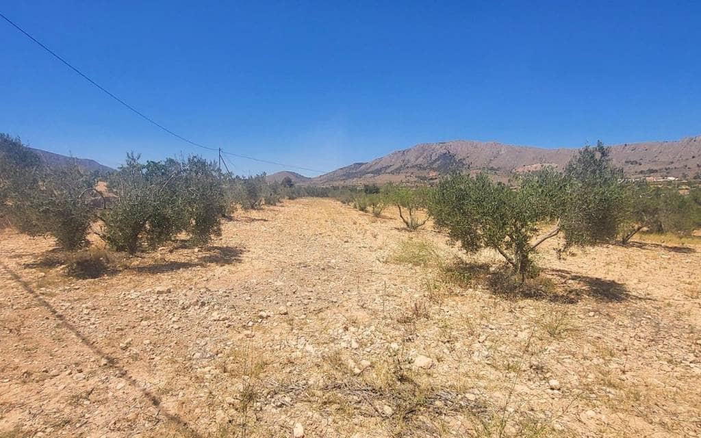 2 makuuhuone Luolatalo myytävänä paikassa La Romana - 169 999 € (Ref: 9777242)