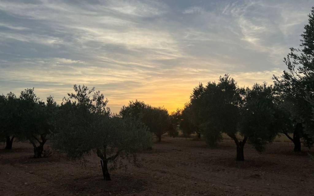 4 soveværelse Villa til salg i Yecla med swimmingpool - € 149.995 (Ref: 9778603)