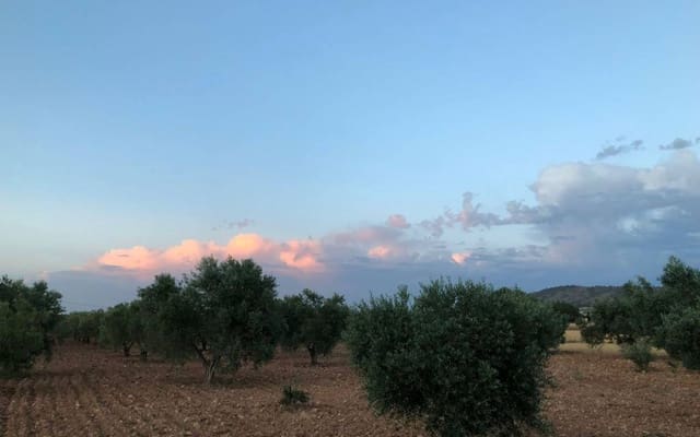 4 soveværelse Villa til salg i Yecla med swimmingpool - € 149.995 (Ref: 9778603)