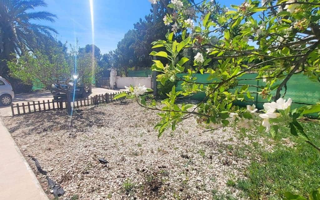 Chalet de 3 habitaciones en La Romana en venta con piscina - 279.999 € (Ref: 9804981)