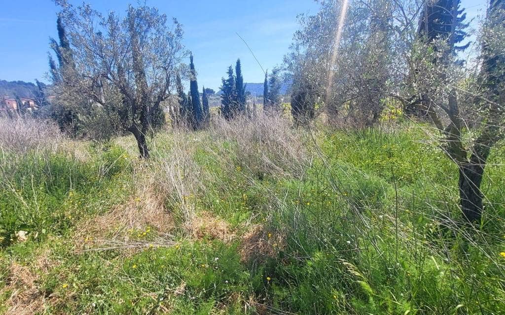 Chalet de 3 habitaciones en La Romana en venta con piscina - 279.999 € (Ref: 9804981)