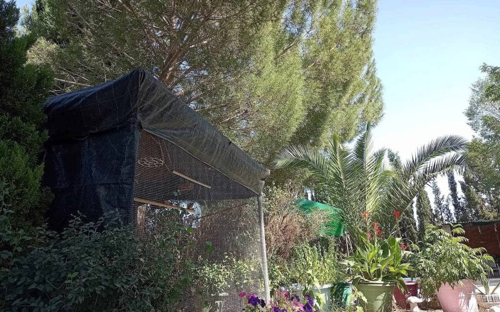 5 bedroom Villa for sale in Sax with pool - € 339,995 (Ref: 9853008)