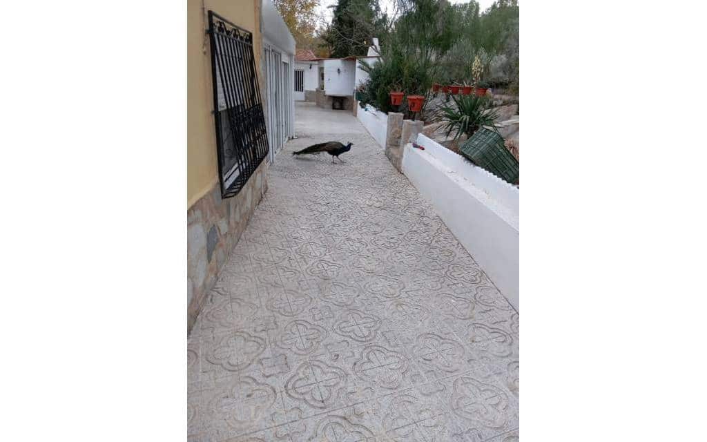 5 bedroom Villa for sale in Sax with pool - € 339,995 (Ref: 9853008)