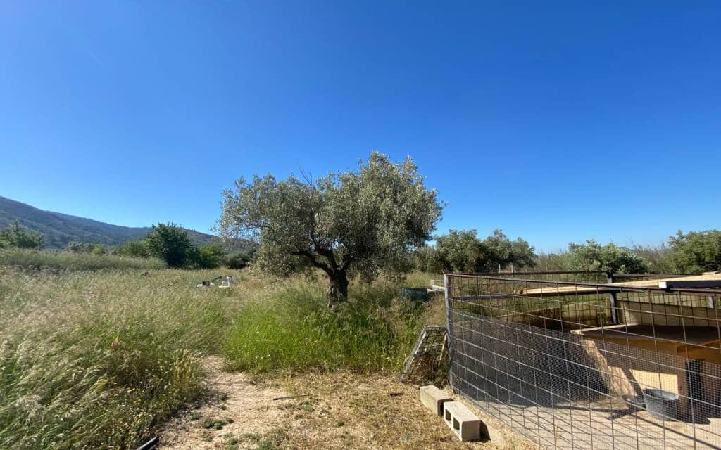 4 quarto Quinta/Casa Rural para venda em Sax - 229 995 € (Ref: 9863546)