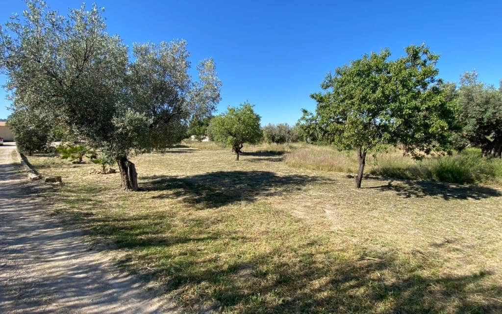 4 quarto Quinta/Casa Rural para venda em Sax - 229 995 € (Ref: 9863546)