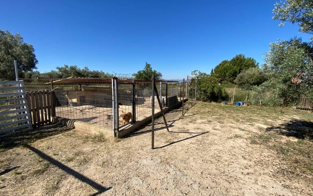 4 quarto Quinta/Casa Rural para venda em Sax - 229 995 € (Ref: 9863546)