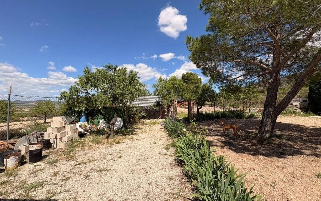 Chalet de 3 habitaciones en Yecla en venta - 149.995 € (Ref: 9902077)