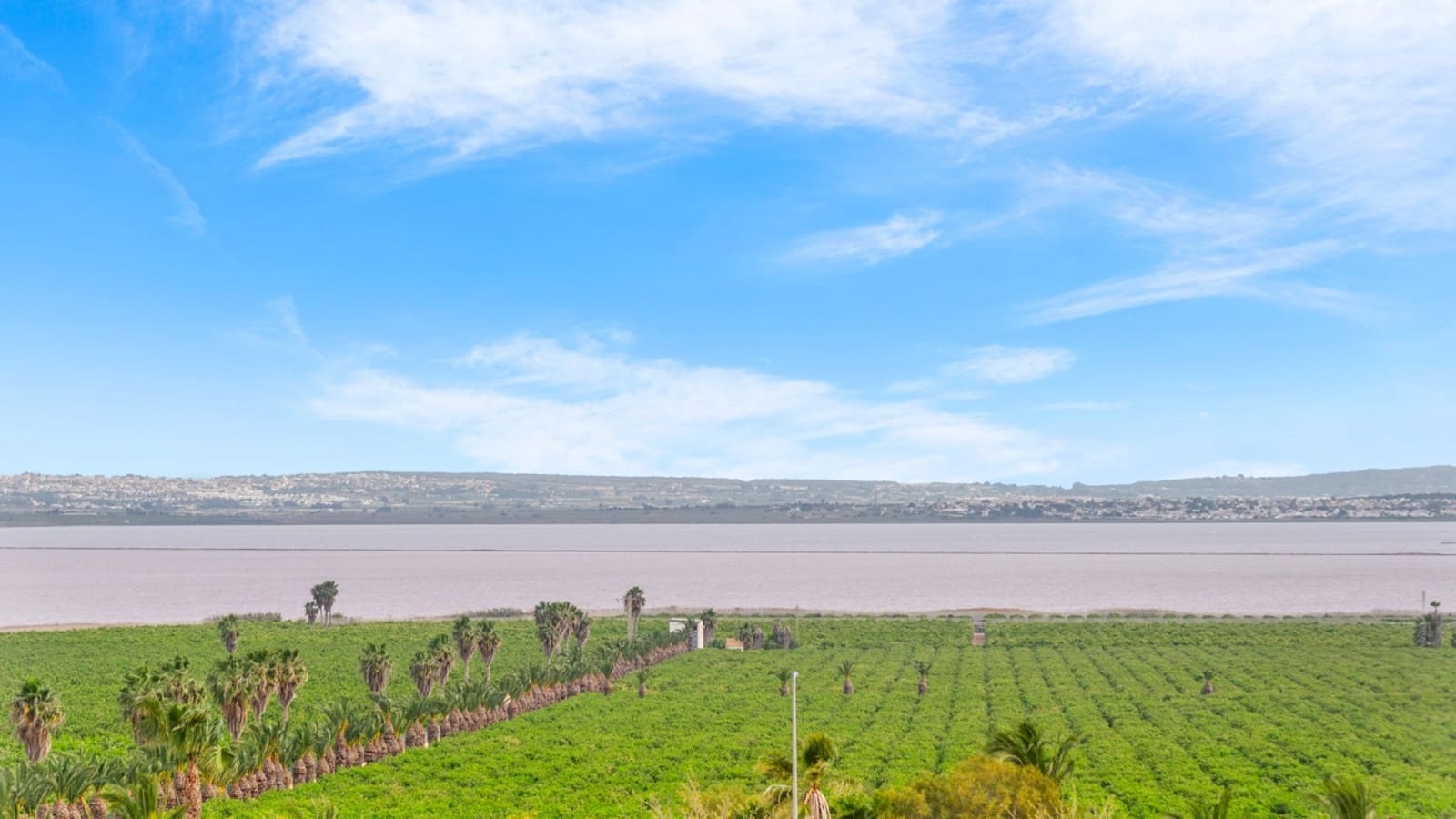 2 Zimmer Bungalow zu verkaufen in Torrevieja mit Pool - 305.000 € (Ref: 8427117)