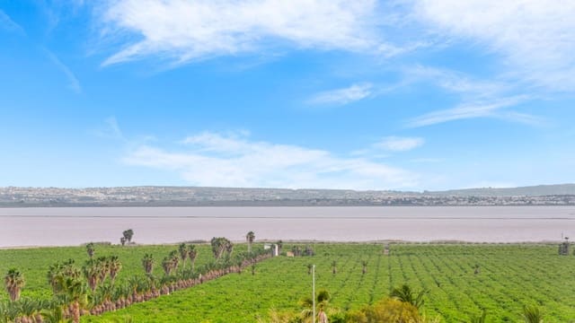 2 Zimmer Bungalow zu verkaufen in Los Balcones - Los Altos, Torrevieja mit Pool - 305.000 € (Ref: 8427117)