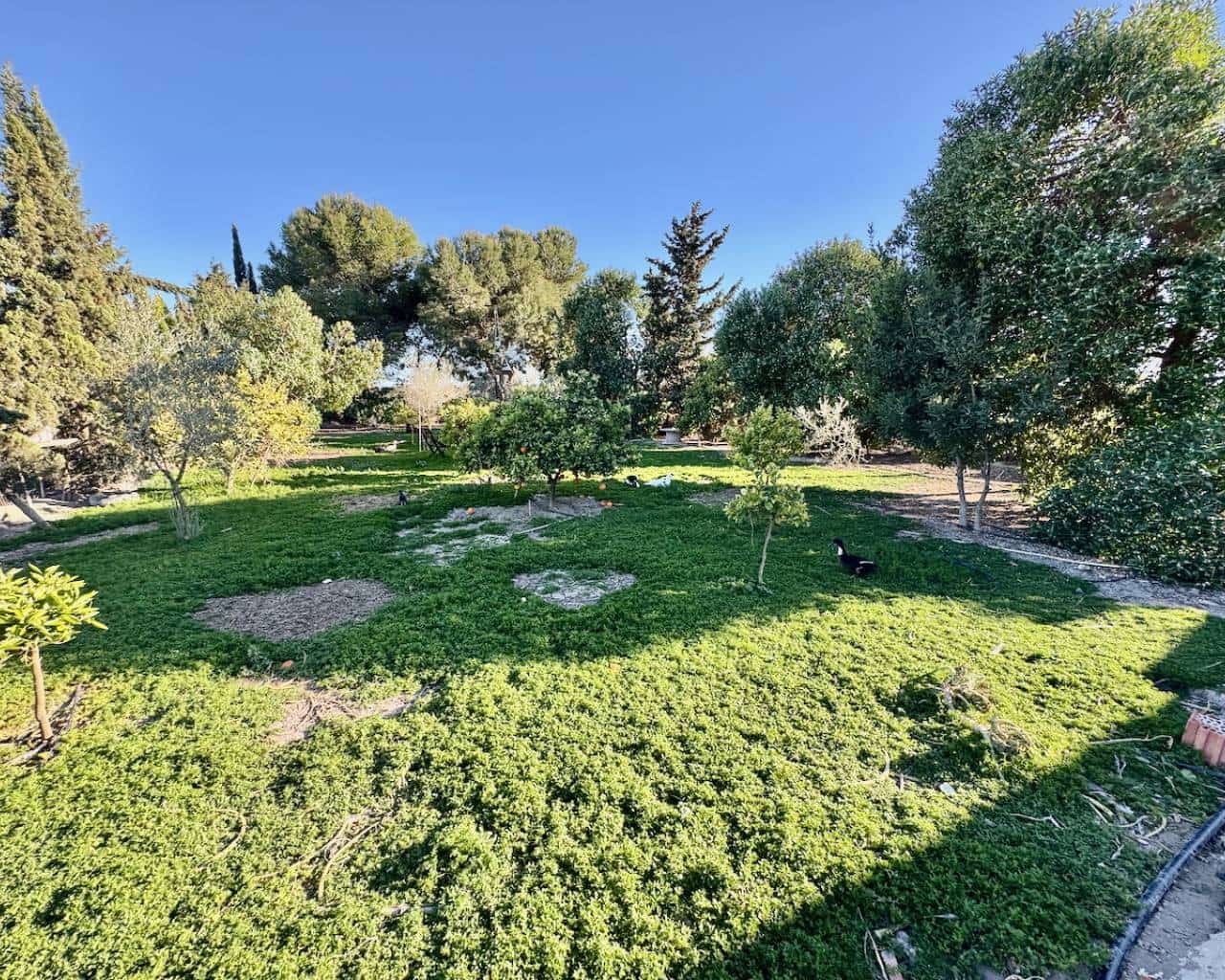 4 quarto Quinta/Casa Rural para venda em Guardamar del Segura - 180 000 € (Ref: 8932758)