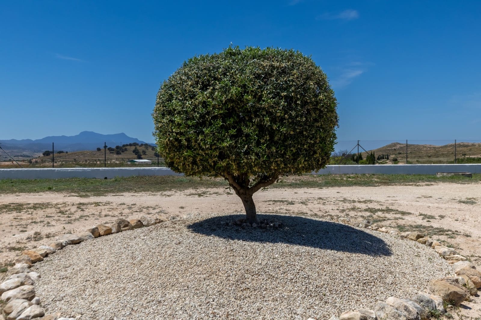 3 chambre Finca/Maison de Campagne à vendre à Torre del Rico - 510 000 € (Ref: 9335445)