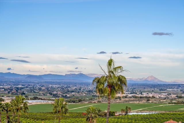 Chalet de 4 habitaciones en Algorfa en venta con piscina garaje - 899.000 € (Ref: 9985777)