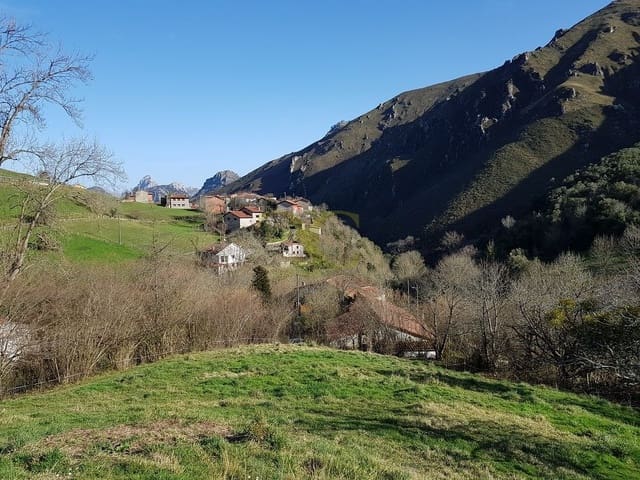 Local Commercial à vendre à Peñamellera Alta - 25 000 € (Ref: 9443429)