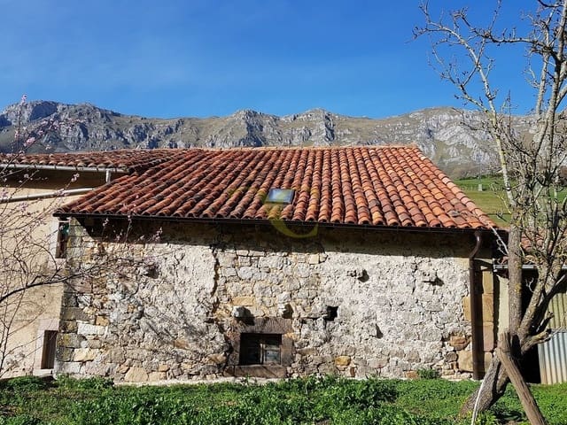 Local Commercial à vendre à Peñamellera Alta - 25 000 € (Ref: 9443429)