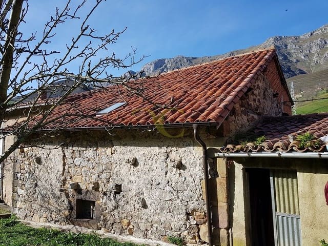 Local Commercial à vendre à Peñamellera Alta - 25 000 € (Ref: 9443429)