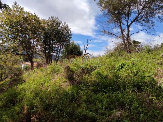 Terreno Não Urbanizado para venda em Ribadesella - 60 000 € (Ref: 9443436)