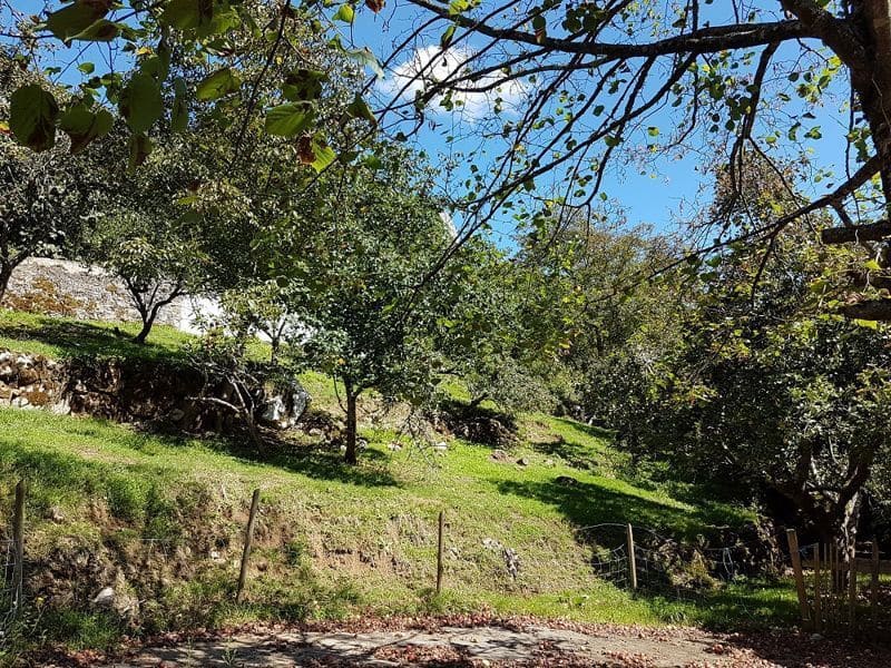 4 bedroom Townhouse for sale in Penamellera Alta - € 130,000 (Ref: 9443438)