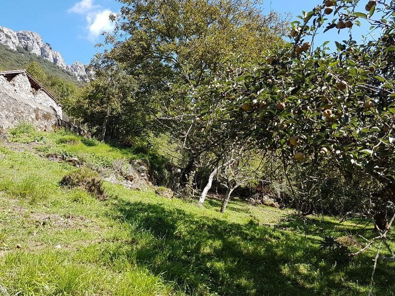 4 bedroom Townhouse for sale in Penamellera Alta - € 130,000 (Ref: 9443438)