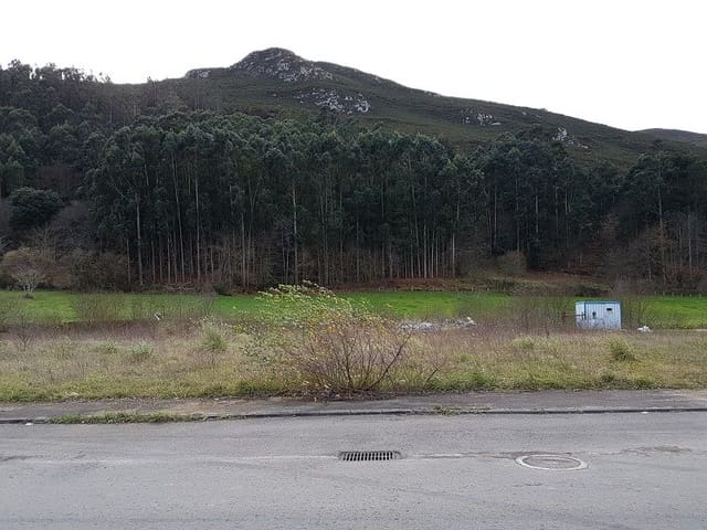 Terreno Não Urbanizado para venda em Llanes - 65 000 € (Ref: 9443445)