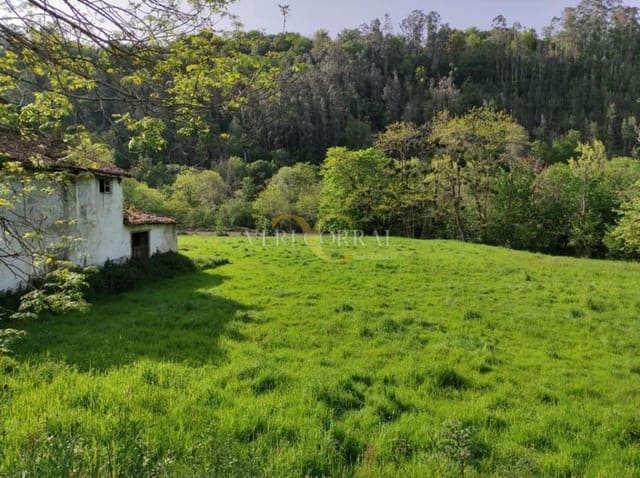 Teren niezagospodarowany na sprzedaż w Piloña - 420 000 € (Ref: 9443451)