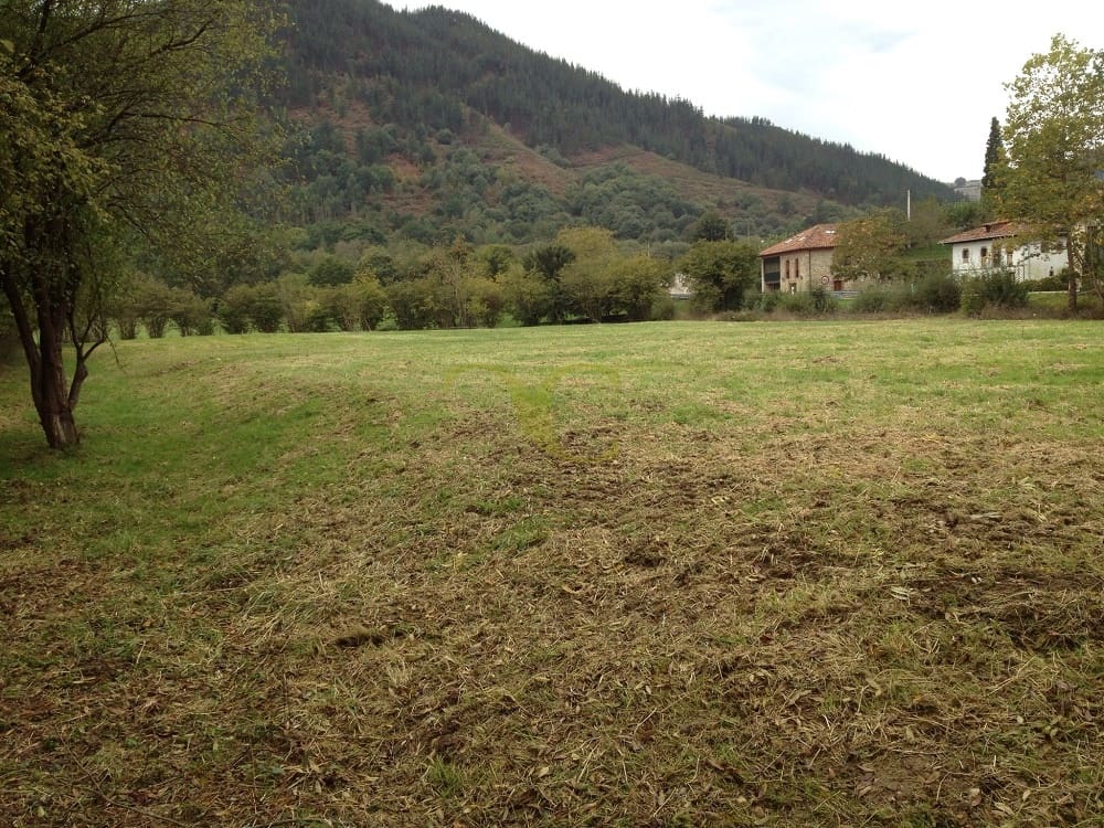 Ubebygd land til salgs i Cangas de Onis - € 160 000 (Ref: 9443456)