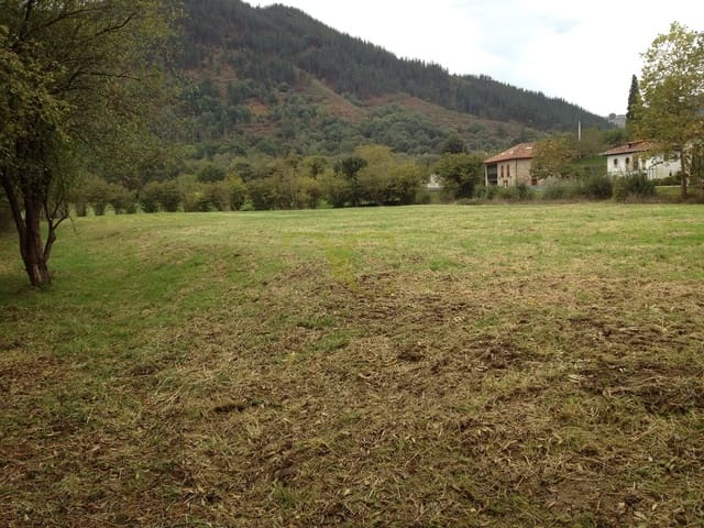 Ubebygd land til salgs i Cangas de Onís - € 160 000 (Ref: 9443456)