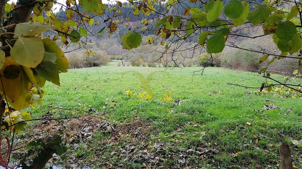 Ubebygd land til salgs i Cangas de Onis - € 160 000 (Ref: 9443456)