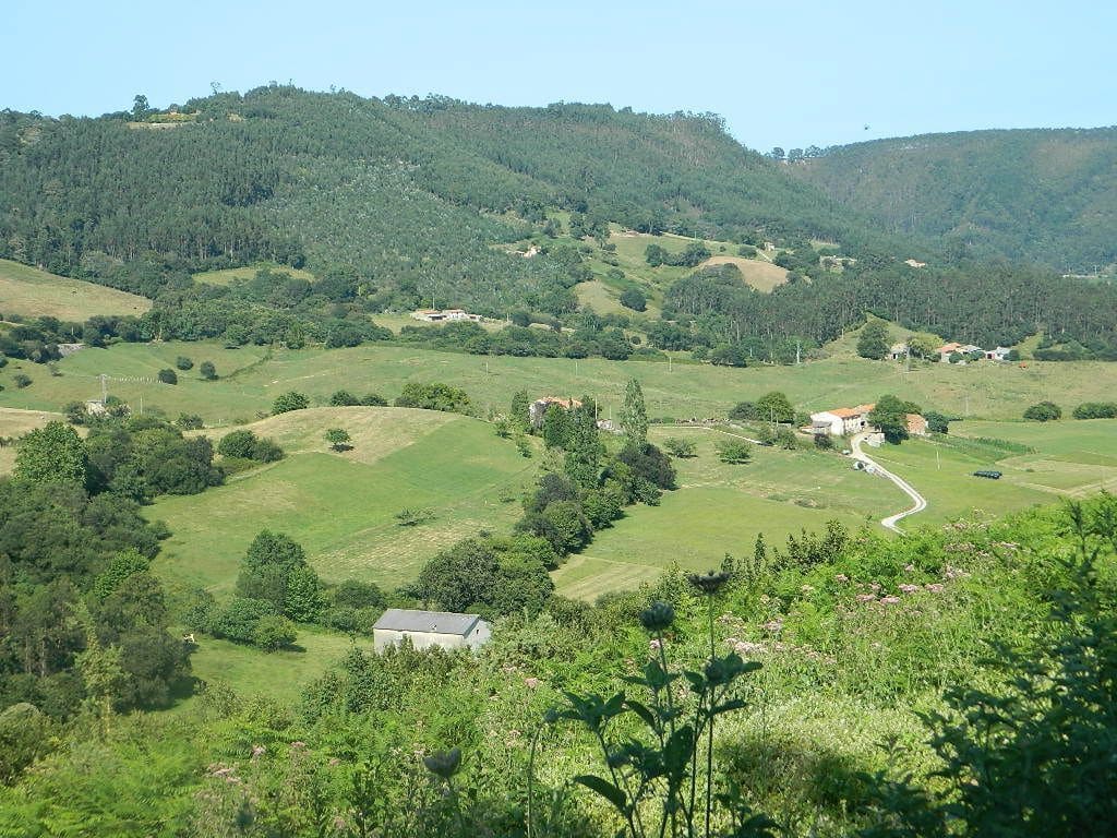 Ubebygd land til salgs i Ribadedeva - € 94 000 (Ref: 9443463)