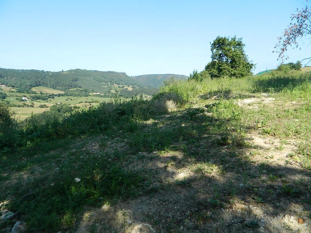 Ubebygd land til salgs i Ribadedeva - € 94 000 (Ref: 9443463)