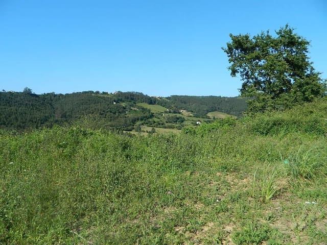 Ubebygd land til salgs i Ribadedeva - € 94 000 (Ref: 9443463)