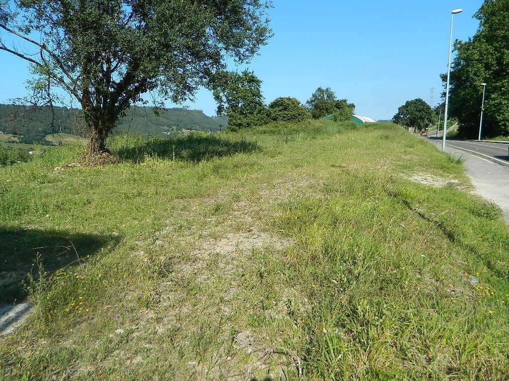 Ubebygd land til salgs i Ribadedeva - € 94 000 (Ref: 9443463)