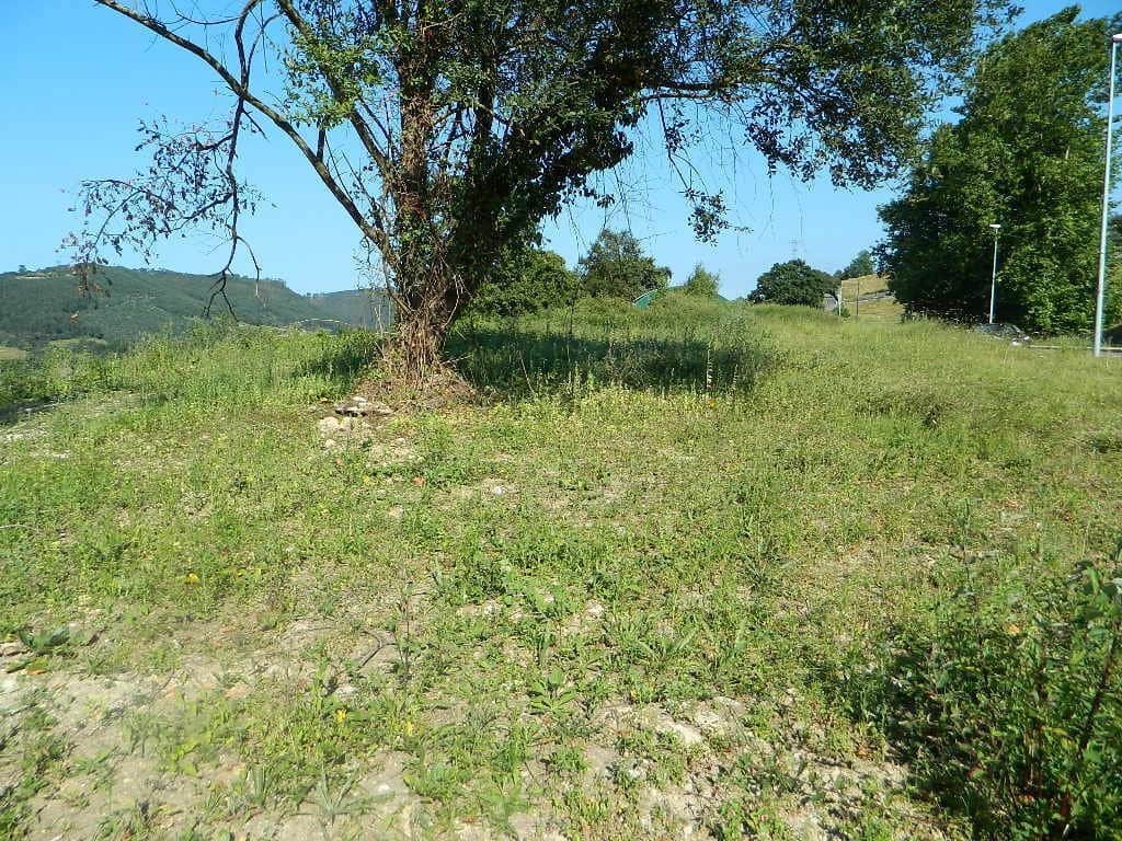 Ubebygd land til salgs i Ribadedeva - € 94 000 (Ref: 9443463)