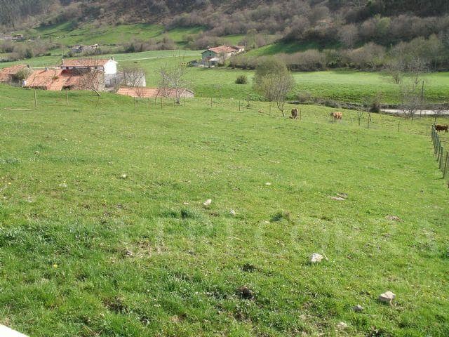 Terreno Não Urbanizado para venda em Llanes - 40 000 € (Ref: 9443467)