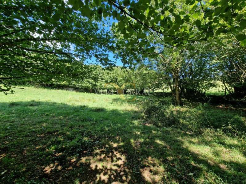 Terreno Não Urbanizado para venda em Llanes - 29 000 € (Ref: 9443468)