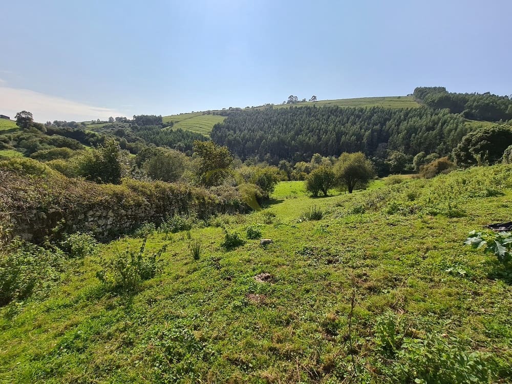 20 bedroom Townhouse for sale in Ribadedeva - € 800,000 (Ref: 9443471)