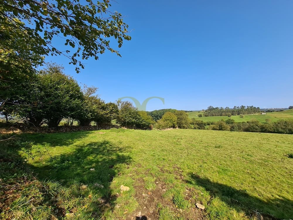 20 bedroom Townhouse for sale in Ribadedeva - € 800,000 (Ref: 9443471)