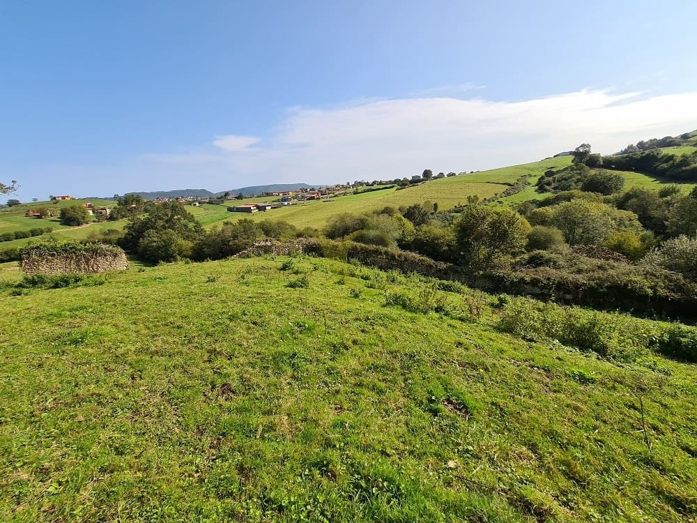 20 bedroom Townhouse for sale in Ribadedeva - € 800,000 (Ref: 9443471)